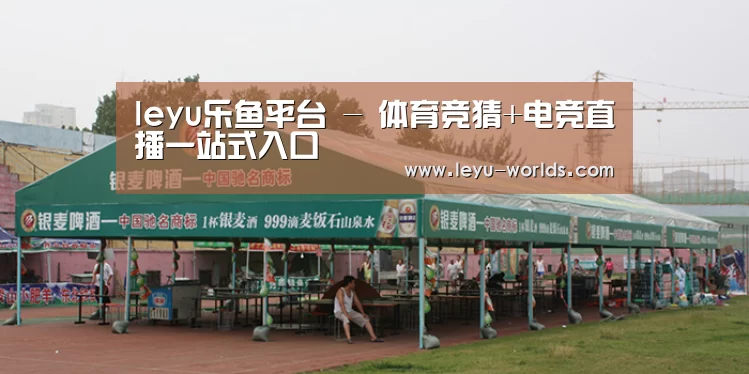 案例标题七