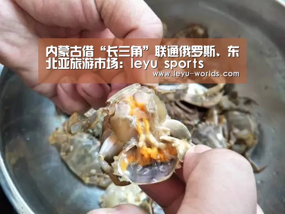 乐鱼VIP注册app下载