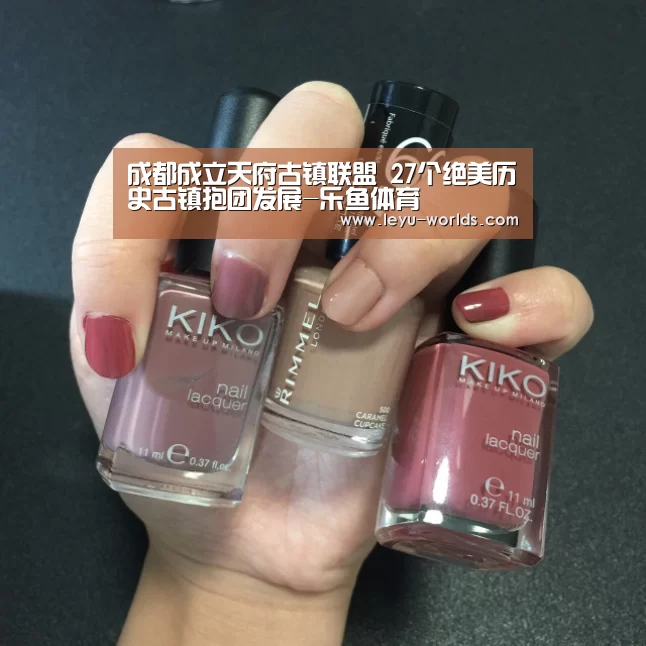 登录入口
